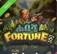 Habesha Fortune 5 by Smartsoft at Chatki Bet